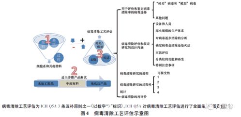 防微杜漸 生物制品病毒安全性控制的核心理念與實(shí)踐路徑