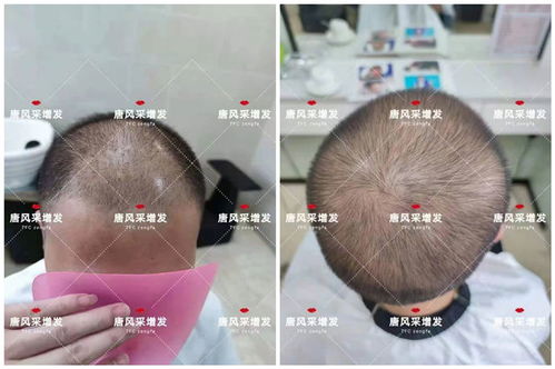 入秋的第一款精品假發，讓心情甜過奶茶